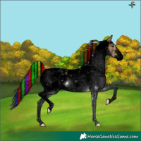 Horse Color:Void Painted White Spotted Bay Dun 