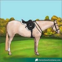 Horse Color:Gold Champagne Pearl Rabicano  and Gold Champagne Pearl Rabicano 
