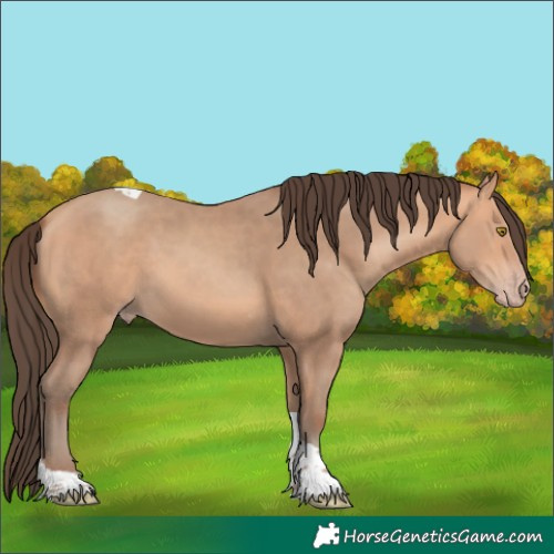 Horse Color:Amber Champagne Tobiano