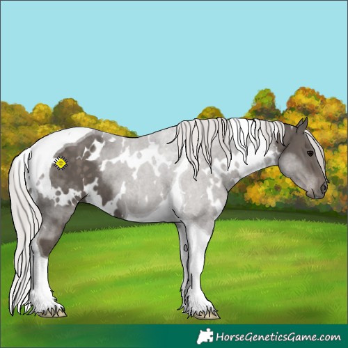 Horse Color:White Spotted Silver Black Tobiano 