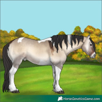Horse Color:Bay Onyx Tobiano 