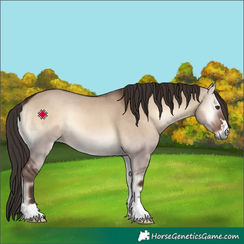 Horse Color:Liver Red Dun Onyx 