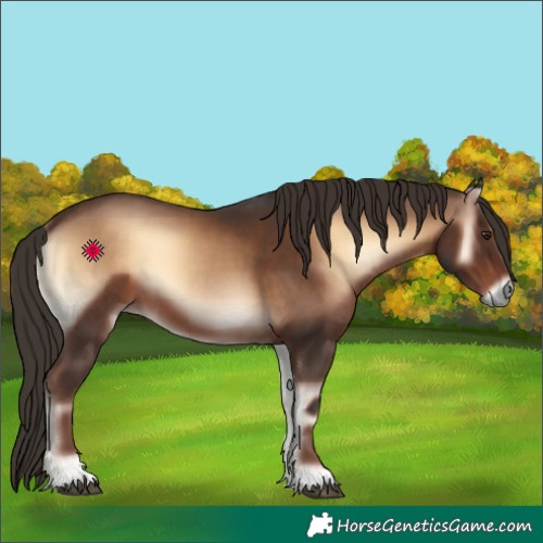 Horse Color:Liver Red Onyx