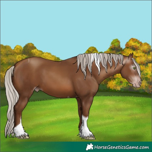 Horse Color:Gray Silver Sable Champagne Tobiano 