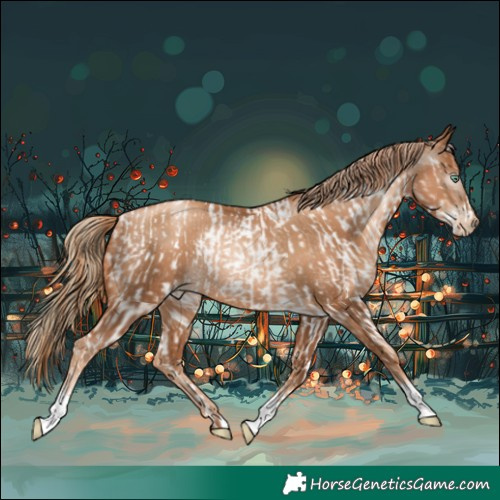 Horse Color:Sable Champagne Roan Pearl Sabino Near Leopard Rabicano  and Gray Gold Champagne Pearl Rabicano 