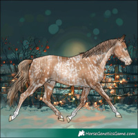 Horse Color:Sable Champagne Roan Pearl Sabino Near Leopard Rabicano  and Gray Gold Champagne Pearl Rabicano 