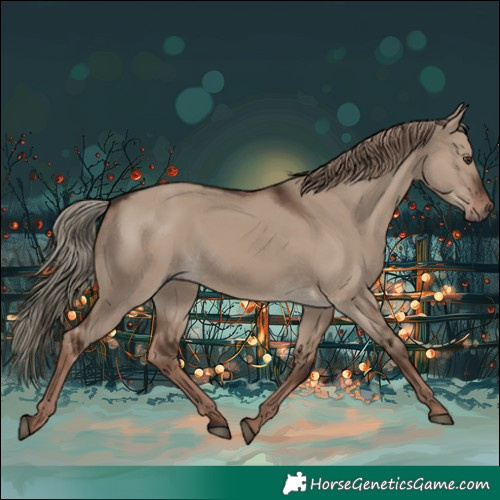 Horse Color:Liver Red Dun Rabicano 