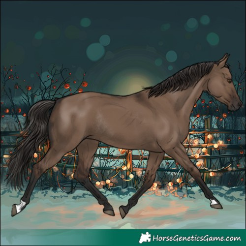 Horse Color:Liver Red Dun Rabicano 