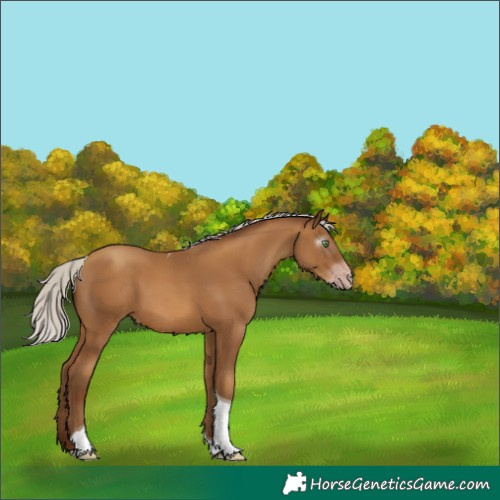 Horse Color:Gray Silver Amber Champagne Tobiano 