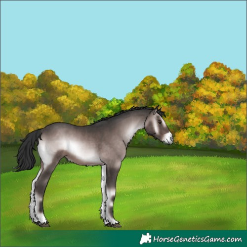 Horse Color:Platinum Liver Red Onyx