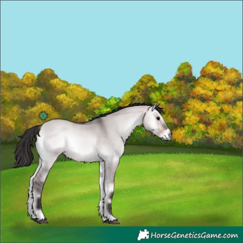 Horse Color:Platinum Bay Onyx Tobiano