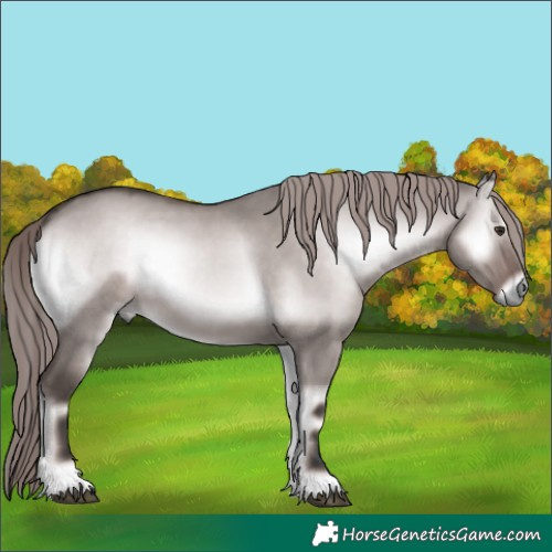 Horse Color:Platinum Liver Red Dun Onyx 
