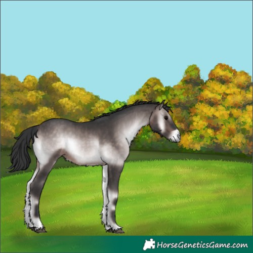 Horse Color:Platinum Brown Onyx