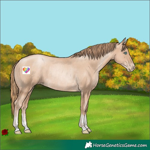 Horse Color:Gold Champagne Pearl Rabicano  and Gold Champagne Pearl Rabicano 