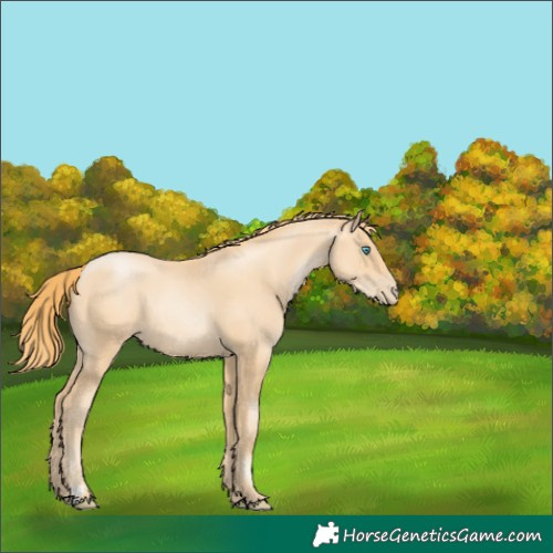 Horse Color:Gold Champagne Pearl 