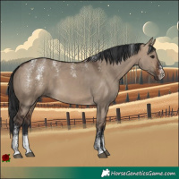 Horse Color:Powder White Brown Dun 