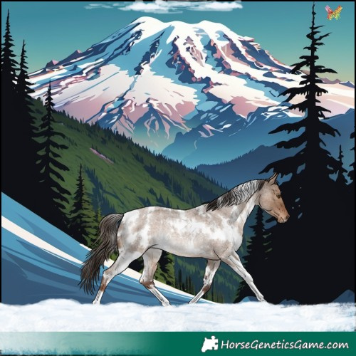 Horse Color:White Spotted Liver Red Dun Roan Rabicano 