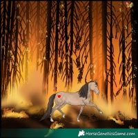 Horse Color:Amber Champagne