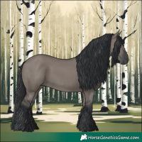 Horse Color:Grullo 