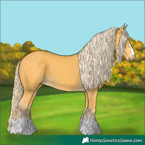 Horse Color:Palomino 
