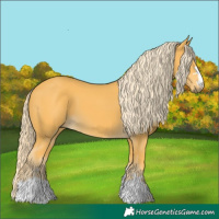 Horse Color:Palomino