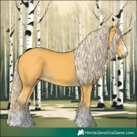 Horse Color:Palomino 