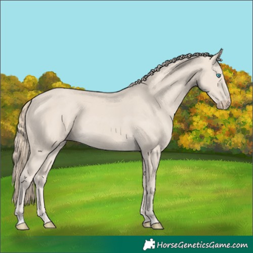 Horse Color:Smoky Creme 