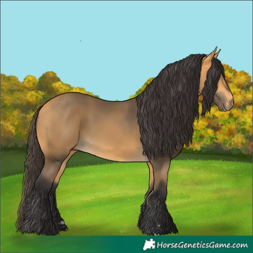 Horse Color:Buckskin