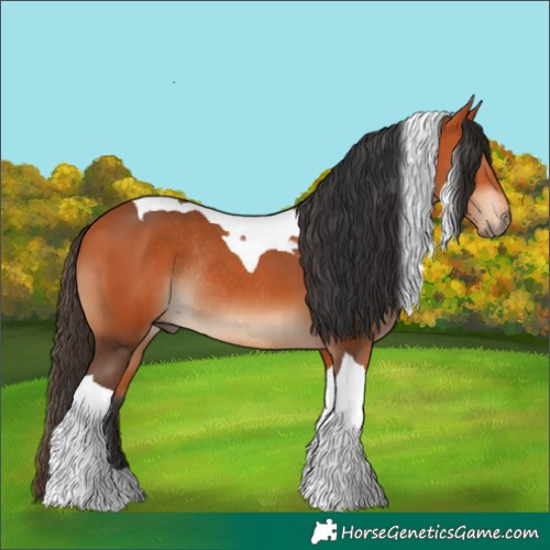 Horse Color:Bay Tobiano Rabicano 