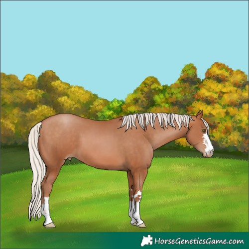 Horse Color:Silver Brown Pearl 