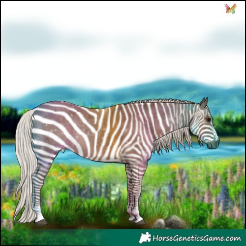 Horse Color:Silver Black 