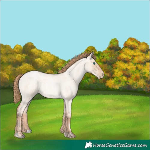 Horse Color:Gold Champagne Roan Pearl Dun Rabicano  and Gold Champagne Roan Pearl Dun Rabicano 