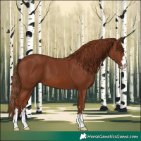 Horse Color:Chestnut 