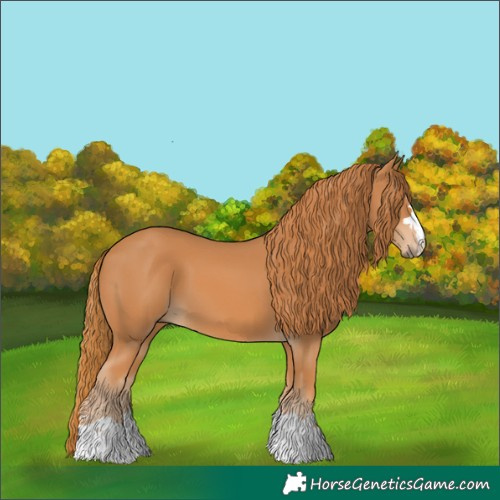 Horse Color:Chestnut 
