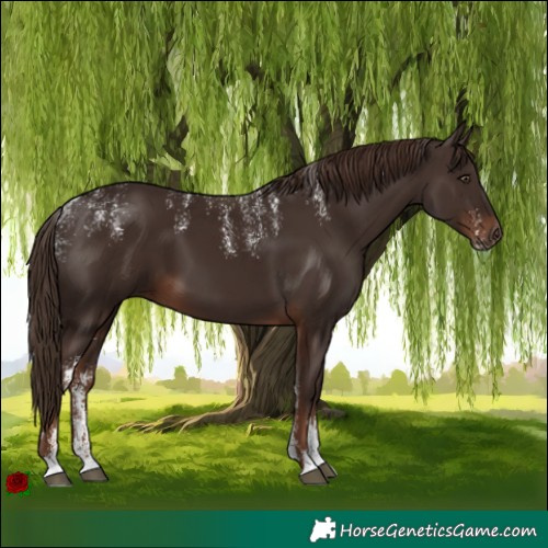 Horse Color:Powder White Liver Chestnut