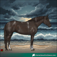 Horse Color:Powder White Liver Chestnut Rabicano