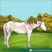 Horse Color:White Spotted Brown Pearl Dun Mushroom Splash