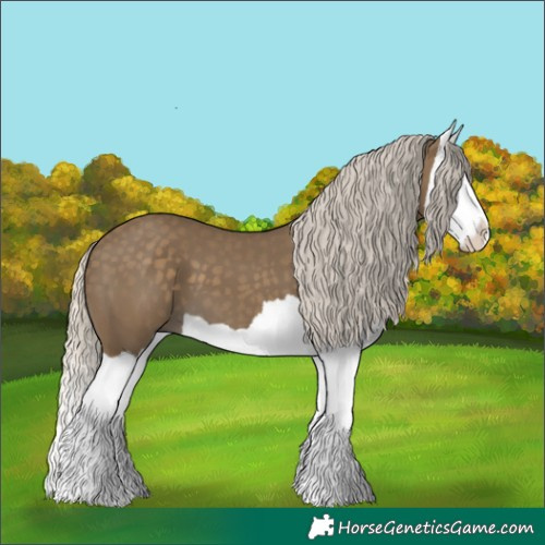 Horse Color:Silver Smoky Black Splash 