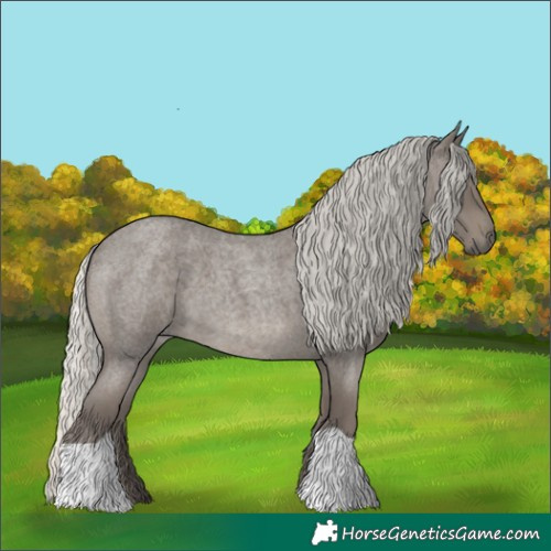 Horse Color:Silver Smoky Blue Roan