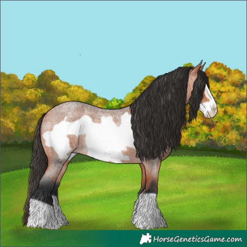 Horse Color:Bay Roan Frame