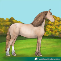 Horse Color:Gold Champagne Pearl Rabicano  and Gold Champagne Pearl Rabicano 
