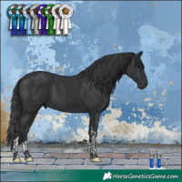 Horse Color:Black Tobiano