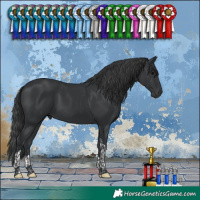 Horse Color:Black Tobiano