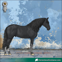 Horse Color:Black Tobiano 