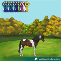 Horse Color:Liver Chestnut Tobiano 