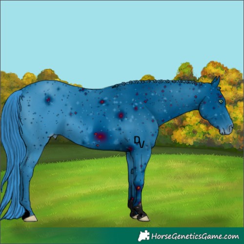 Horse Color:ERROR: UNKNOWN ANOMALY