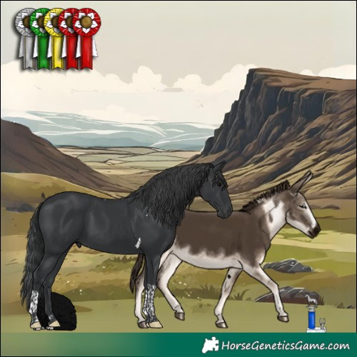 Horse Color:Black Tobiano 
