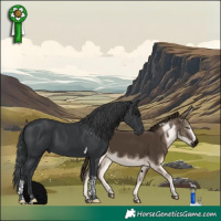 Horse Color:Black Tobiano 