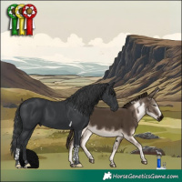 Horse Color:Black Tobiano 