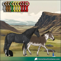 Horse Color:Black Tobiano 